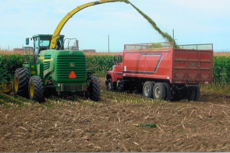 silage harvest