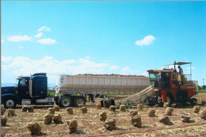 sack loader